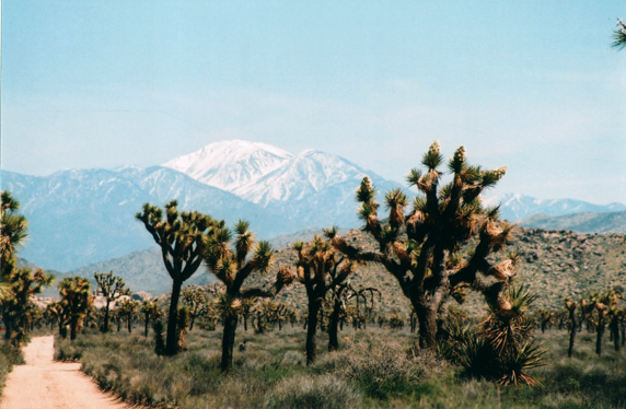 Back Road to Barker Dam